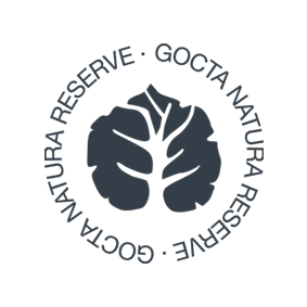 Gocta