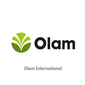 Olam